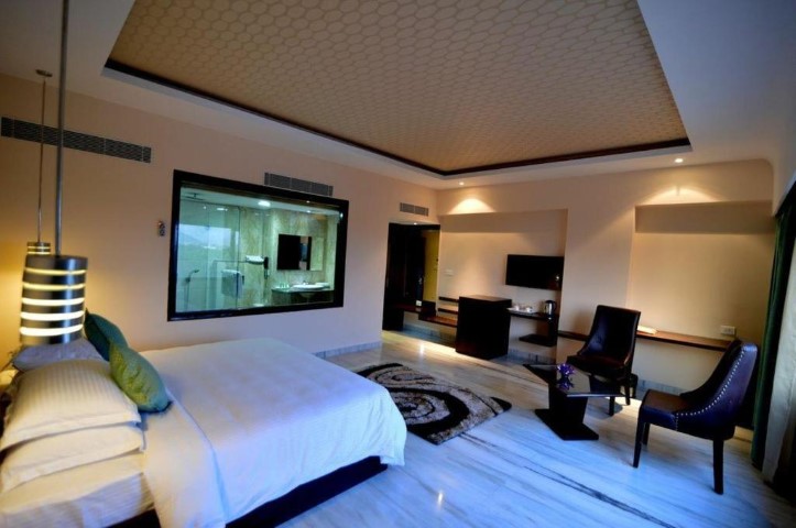 Q Hotel Udaipur gallery image 4
