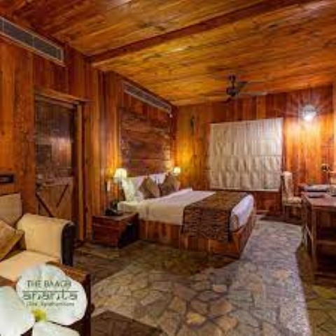 The Baagh Ananta Elite, Ranthambore gallery image 4