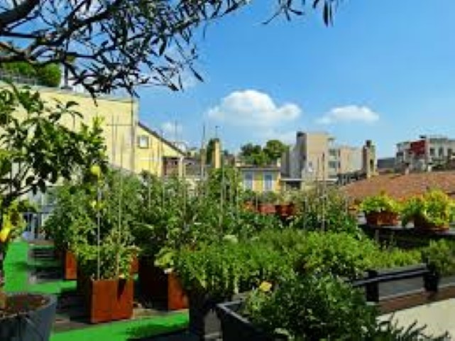 Urban Garden Hotel gallery image 3